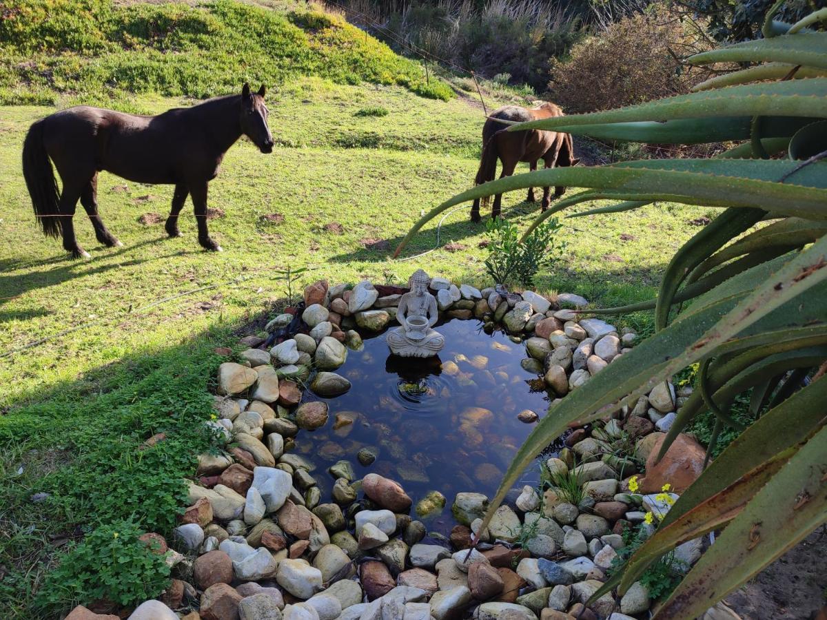 The Riverstone - Romantic Hideaway By The River - Loadshedding Free! Napier Exterior photo