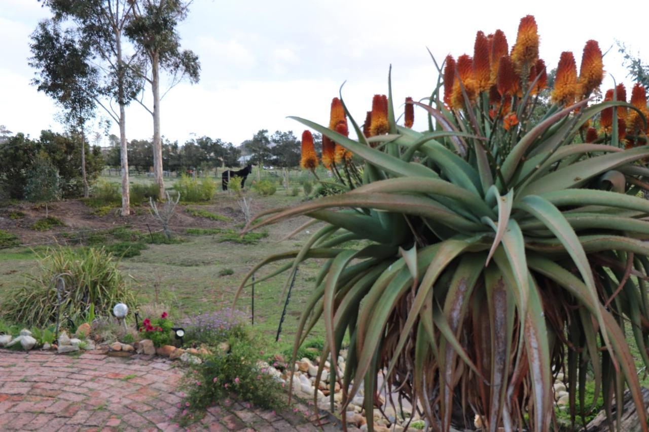 The Riverstone - Romantic Hideaway By The River - Loadshedding Free! Napier Exterior photo